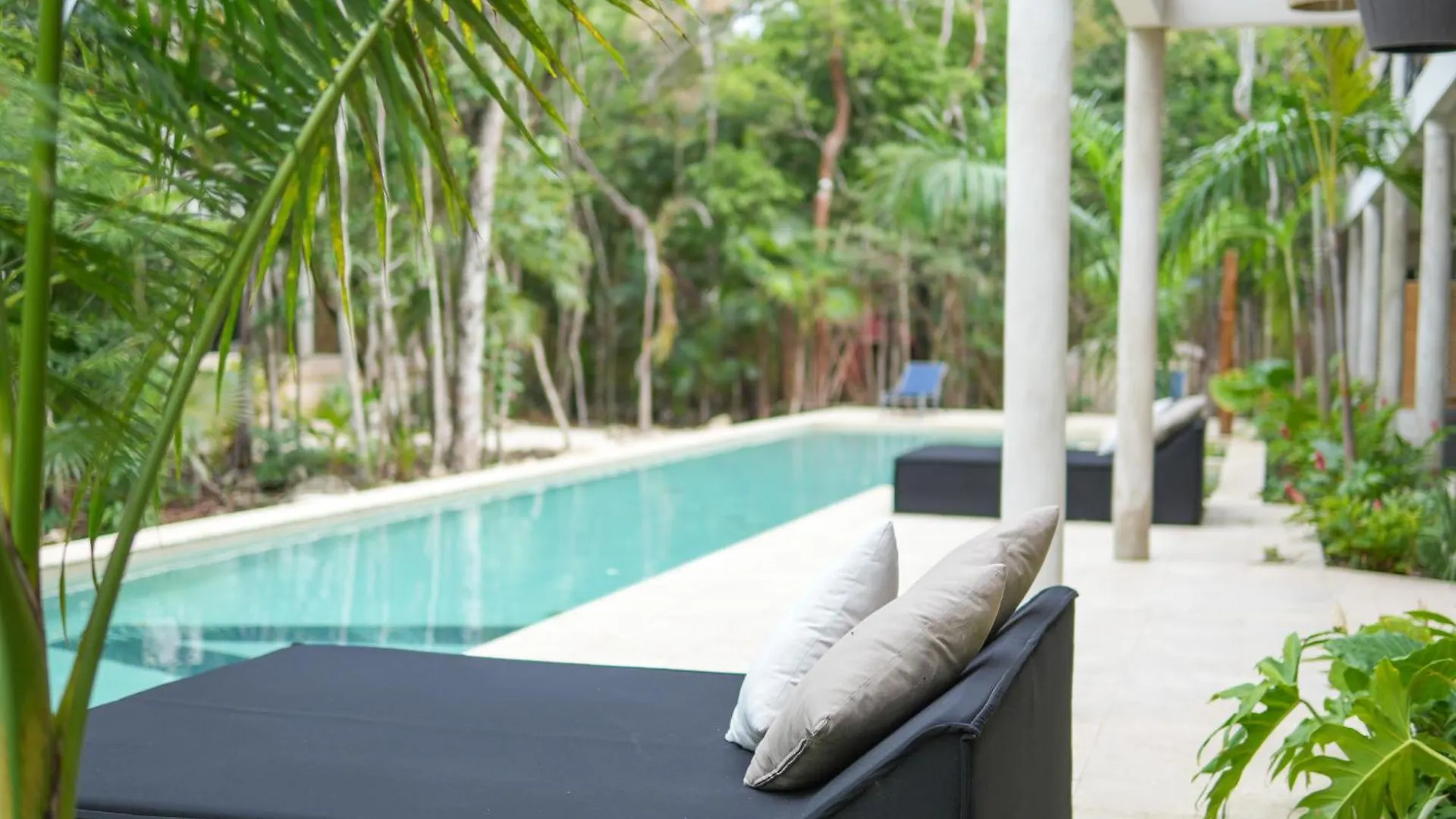 Apartment Elegant Studio In Holistika Your Tulum Sanctuary