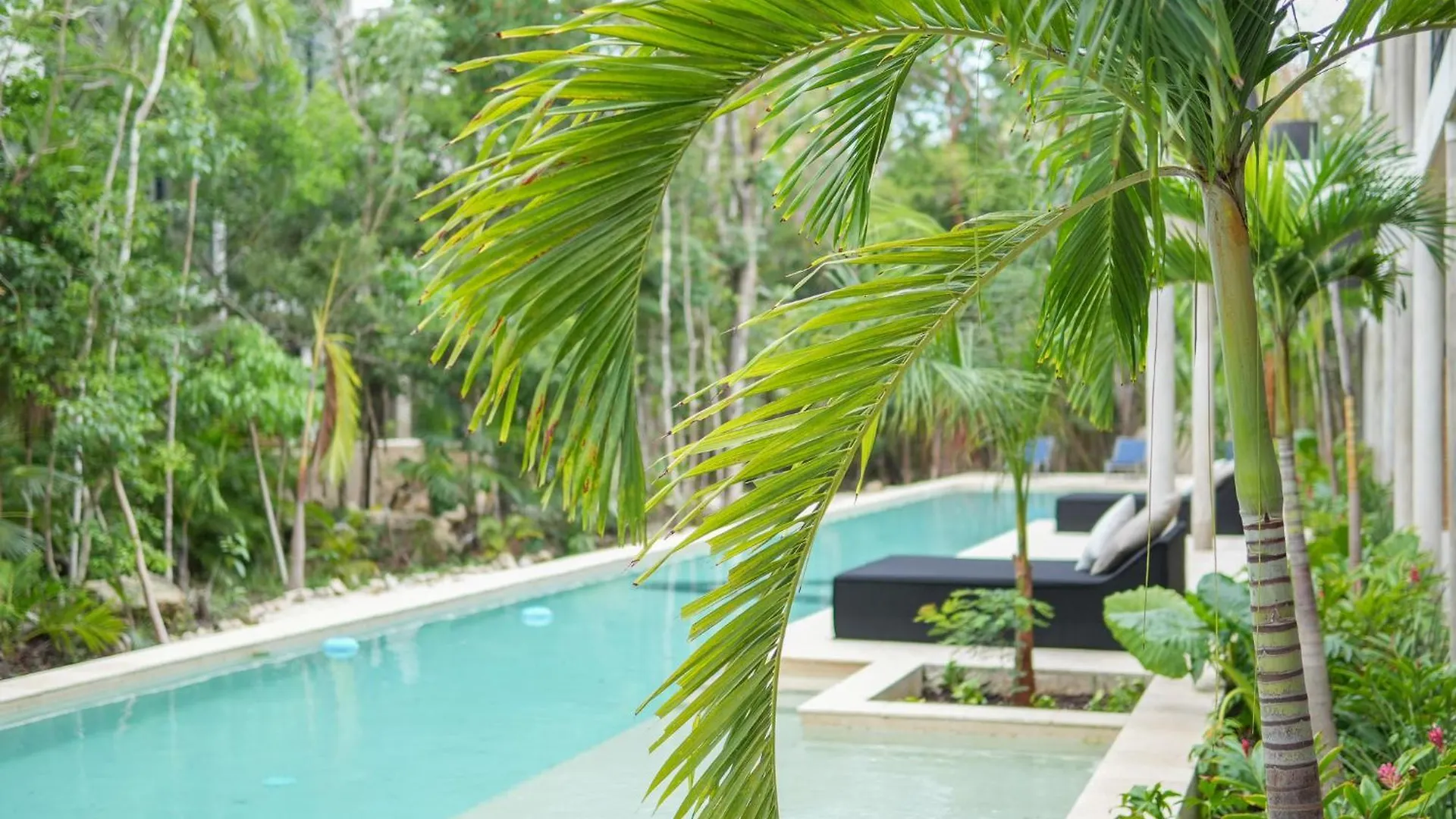 Elegant Studio In Holistika Your Tulum Sanctuary Apartment
